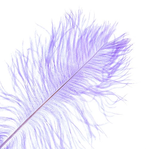 Ostrich Drab Feathers 14-16in Premium Quality 