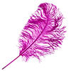 Ostrich Drab Feathers 14-16in Premium Quality 