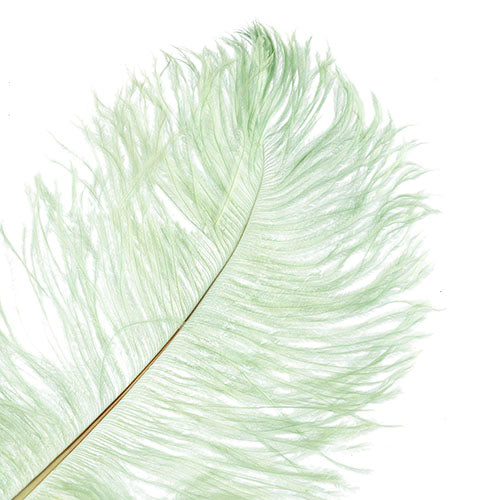 Ostrich Drab Feathers 14-16in Premium Quality 