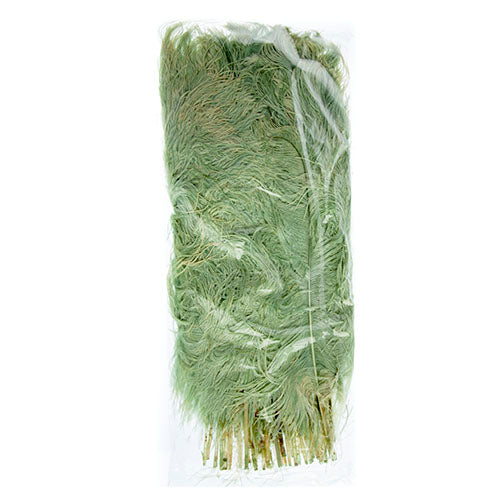 Ostrich Drab Feathers 14-16in Premium Quality 
