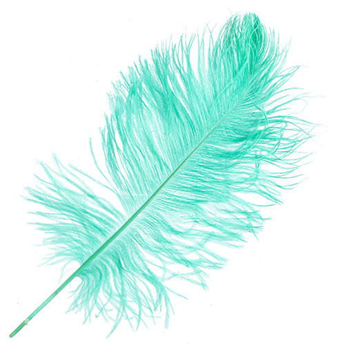 Ostrich Drab Feathers 14-16in Premium Quality