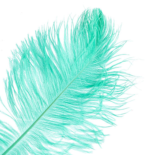 Ostrich Drab Feathers 14-16in Premium Quality 