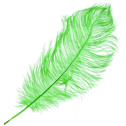 Ostrich Drab Feathers 14-16in Premium Quality