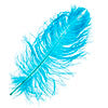 Ostrich Drab Feathers 14-16in Premium Quality 