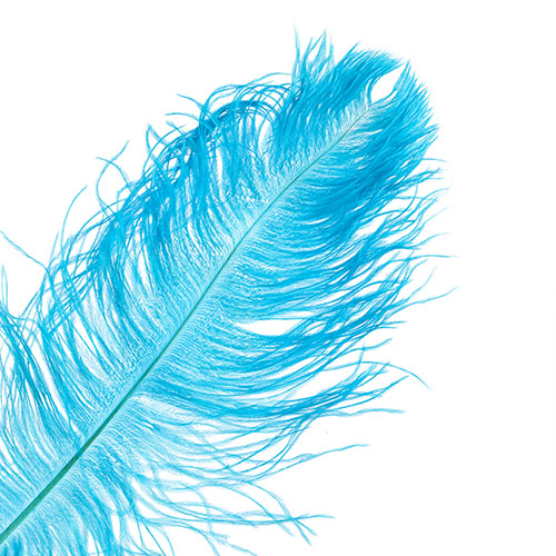 Ostrich Drab Feathers 14-16in Premium Quality 