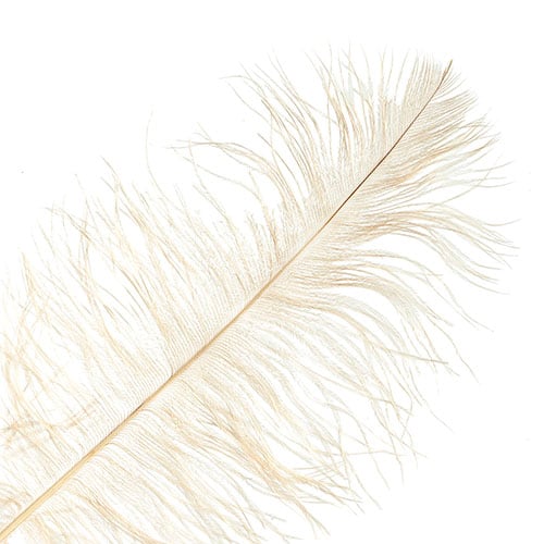 Ostrich Drab Feathers 14-16in Premium Quality 