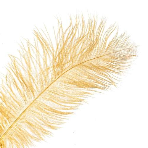Ostrich Drab Feathers 14-16in Premium Quality 