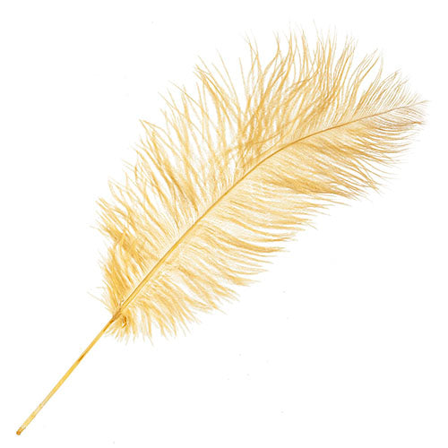 Ostrich Drab Feathers 14-16in Premium Quality