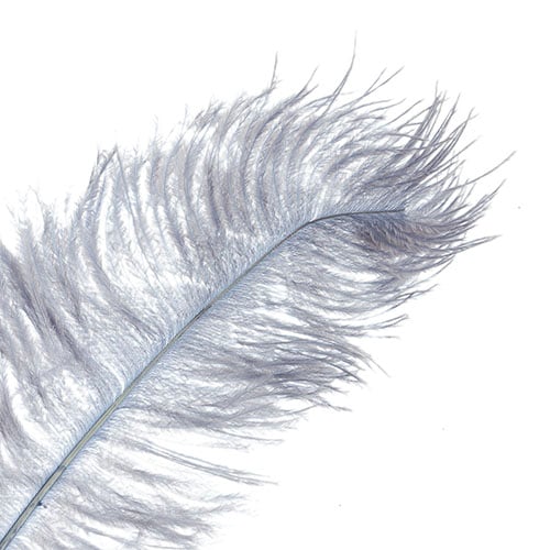 Ostrich Drab Feathers 14-16in Premium Quality 