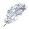 Ostrich Drab Feathers 14-16in Premium Quality 