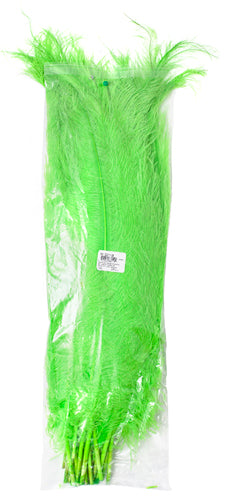 Ostrich Spad Wing 25in+ Premium Quality 