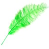 Ostrich Spad Wing 25in+ Premium Quality 