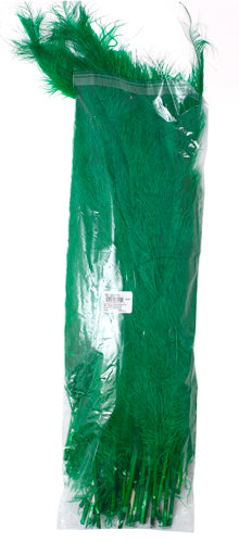 Ostrich Spad Wing 25in+ Premium Quality 