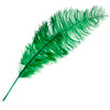 Ostrich Spad Wing 25in+ Premium Quality 