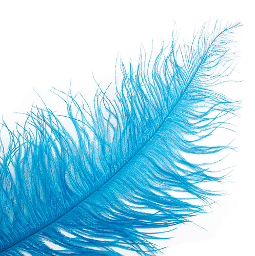 Ostrich Spad Wing 25in+ Premium Quality 