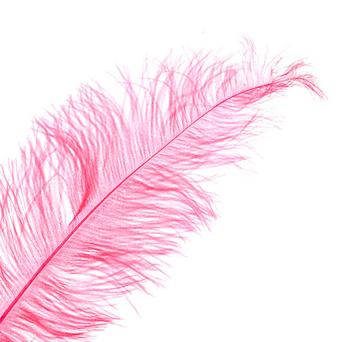 Ostrich Spad Wing 25in+ Premium Quality 