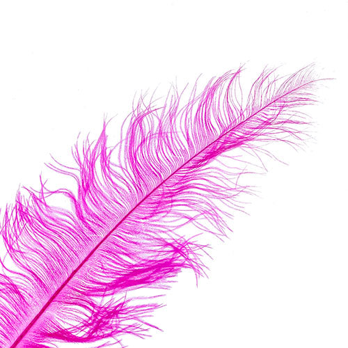 Ostrich Spad Wing 25in+ Premium Quality 