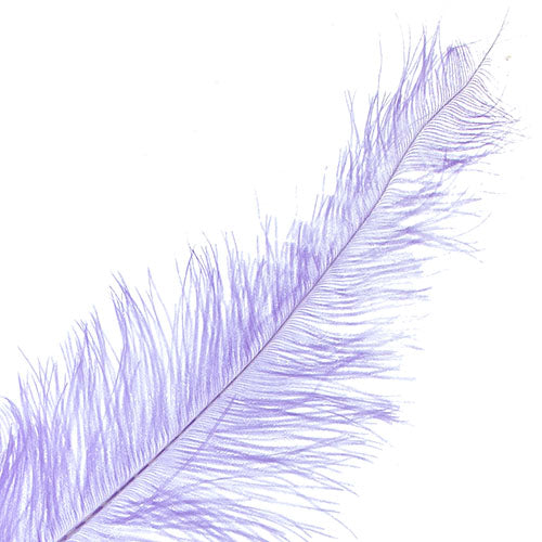 Ostrich Spad Wing 25in+ Premium Quality 