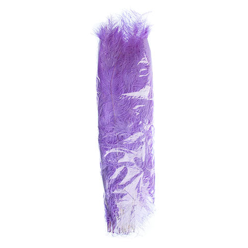 Ostrich Spad Wing 25in+ Premium Quality 