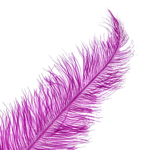 Ostrich Spad Wing 25in+ Premium Quality 