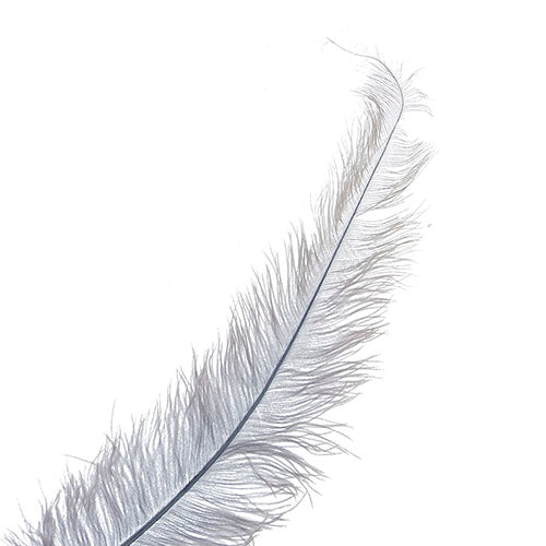 Ostrich Spad Wing 25in+ Premium Quality 