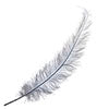 Ostrich Spad Wing 25in+ Premium Quality 