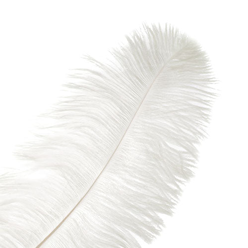 Ostrich Drab Feathers 11-13in (1pc) 