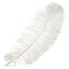 Ostrich Drab Feathers 11-13in (1pc) 