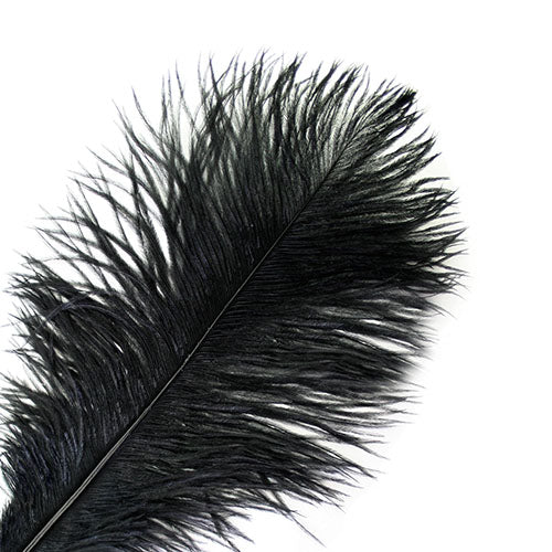 Ostrich Drab Feathers 11-13in (1pc) 
