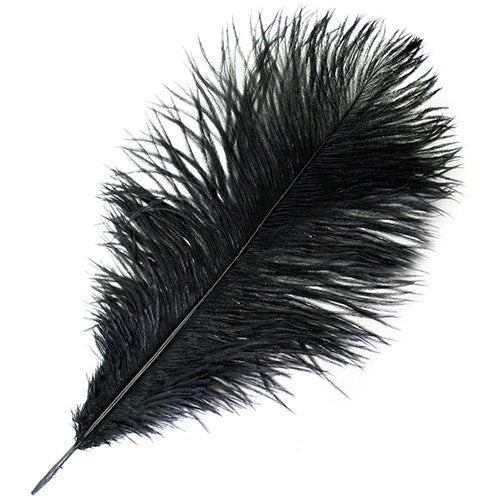 Ostrich Drab Feathers 11-13in (1pc)