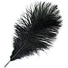 Ostrich Drab Feathers 11-13in (1pc) 