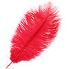 Ostrich Drab Feathers 11-13in (1pc) 