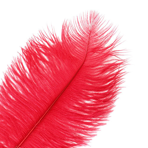 Ostrich Drab Feathers 11-13in (1pc) 