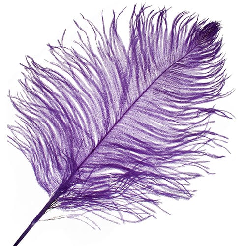 Ostrich Drab Feathers 11-13in (1pc)