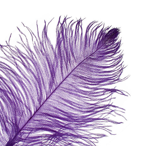 Ostrich Drab Feathers 11-13in (1pc) 