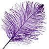 Ostrich Drab Feathers 11-13in (1pc) 