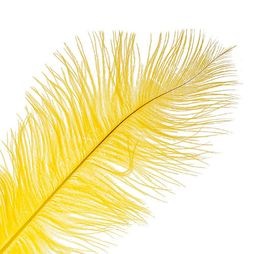 Ostrich Drab Feathers 11-13in (1pc) 