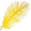Ostrich Drab Feathers 11-13in (1pc) 