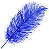 Ostrich Drab Feathers 11-13in (1pc) 