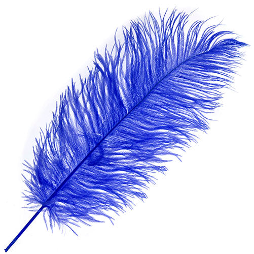 Ostrich Drab Feathers 11-13in (1pc)