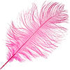 Ostrich Drab Feathers 11-13in (1pc) 