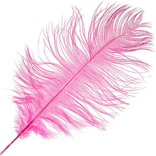 Ostrich Drab Feathers 11-13in (1pc)