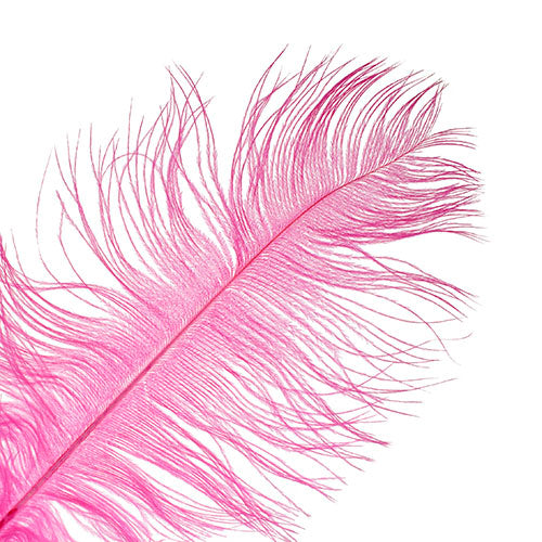 Ostrich Drab Feathers 11-13in (1pc) 