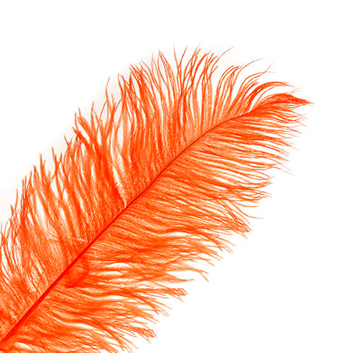 Ostrich Drab Feathers 11-13in (1pc) 