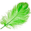 Ostrich Drab Feathers 11-13in (1pc) 
