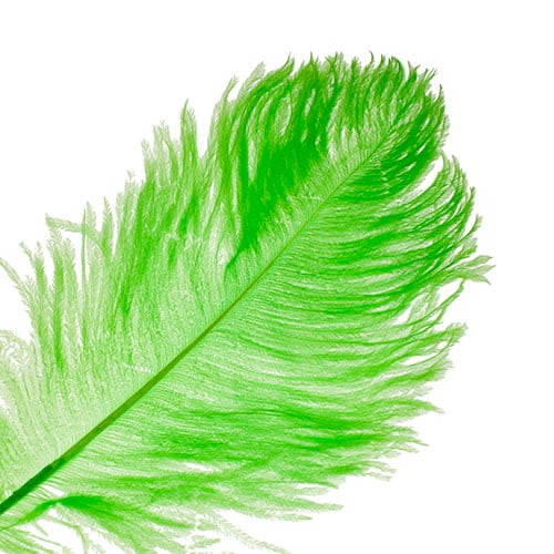 Ostrich Drab Feathers 11-13in (1pc) 