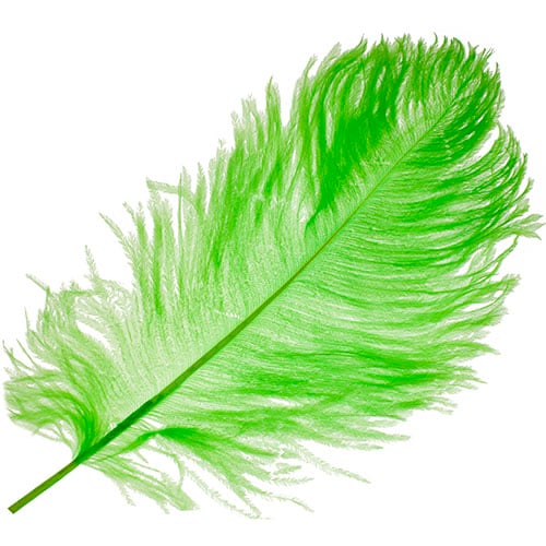 Ostrich Drab Feathers 11-13in (1pc)