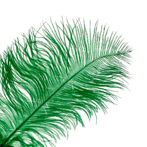 Ostrich Drab Feathers 11-13in (1pc) 