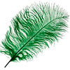 Ostrich Drab Feathers 11-13in (1pc) 