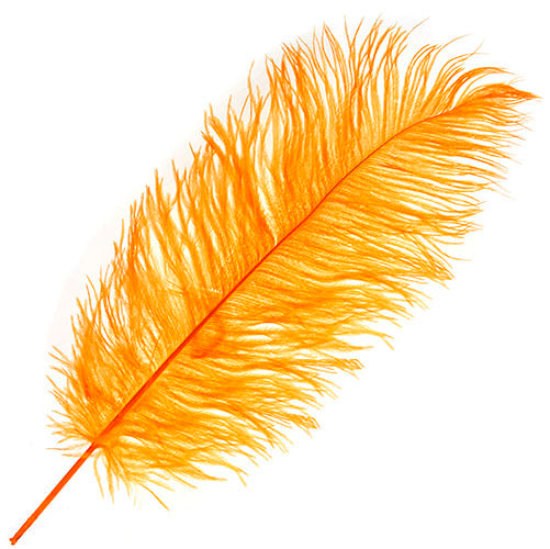 Ostrich Drab Feathers 11-13in (1pc)